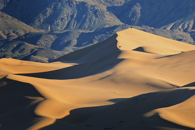gobi desert mongolia 